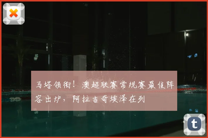 马塔领衔！澳超联赛常规赛最佳阵容出炉，阿拉吉奇埃泽在列