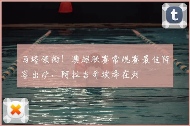 马塔领衔！澳超联赛常规赛最佳阵容出炉，阿拉吉奇埃泽在列